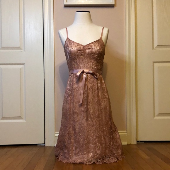 Ann Taylor Pink Gold Lace Dress 